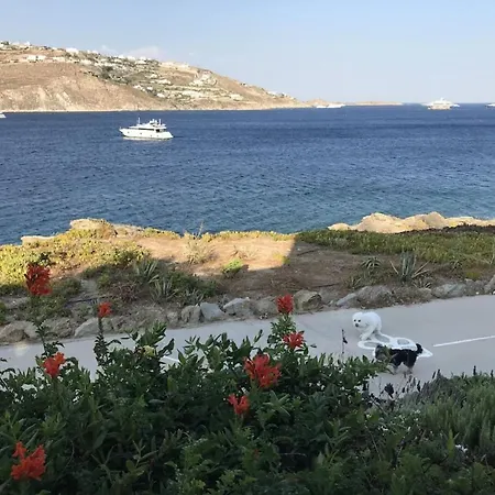 Apollon House On The Sea Дом отдыха Agios Ioannis Diakoftis