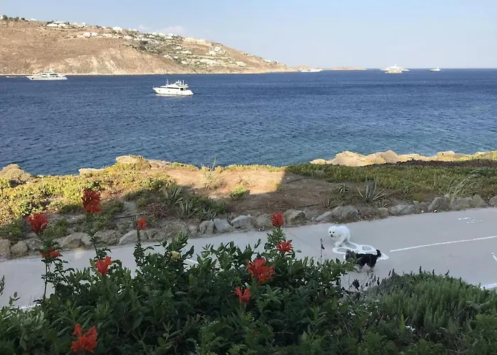 Apollon House On The Sea Prázdninový dům Agios Ioannis Diakoftis